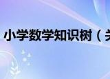小学数学知识树（关于小学数学知识树介绍）