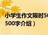 小学生作文限时500字（关于小学生作文限时500字介绍）