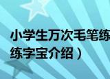 小学生万次毛笔练字宝（关于小学生万次毛笔练字宝介绍）