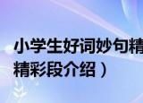 小学生好词妙句精彩段（关于小学生好词妙句精彩段介绍）