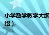 小学数学教学大纲（关于小学数学教学大纲介绍）