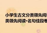 小学生古文分类领先阅读·名句佳段卷（关于小学生古文分类领先阅读·名句佳段卷介绍）