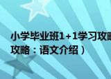 小学毕业班1+1学习攻略：语文（关于小学毕业班1+1学习攻略：语文介绍）