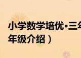 小学数学培优·三年级（关于小学数学培优·三年级介绍）