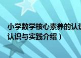 小学数学核心素养的认识与实践（关于小学数学核心素养的认识与实践介绍）