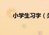 小学生习字（关于小学生习字介绍）