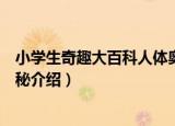 小学生奇趣大百科人体奥秘（关于小学生奇趣大百科人体奥秘介绍）