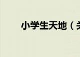 小学生天地（关于小学生天地介绍）
