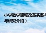 小学数学课程改革实践与研究（关于小学数学课程改革实践与研究介绍）