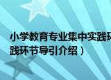 小学教育专业集中实践环节导引（关于小学教育专业集中实践环节导引介绍）