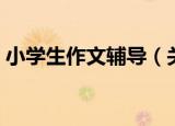 小学生作文辅导（关于小学生作文辅导介绍）