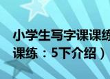 小学生写字课课练：5下（关于小学生写字课课练：5下介绍）