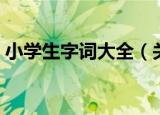 小学生字词大全（关于小学生字词大全介绍）
