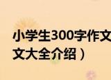 小学生300字作文大全（关于小学生300字作文大全介绍）
