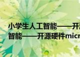 小学生人工智能——开源硬件micro:bit（关于小学生人工智能——开源硬件micro:bit介绍）