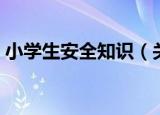 小学生安全知识（关于小学生安全知识介绍）