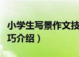 小学生写景作文技巧（关于小学生写景作文技巧介绍）
