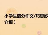 小学生满分作文/巧思妙写（关于小学生满分作文/巧思妙写介绍）