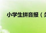 小学生拼音报（关于小学生拼音报介绍）