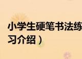 小学生硬笔书法练习（关于小学生硬笔书法练习介绍）