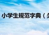 小学生规范字典（关于小学生规范字典介绍）