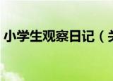 小学生观察日记（关于小学生观察日记介绍）