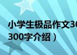 小学生极品作文300字（关于小学生极品作文300字介绍）