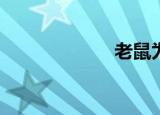 老鼠为什么会飞？