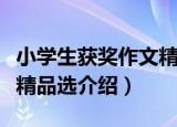 小学生获奖作文精品选（关于小学生获奖作文精品选介绍）