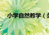 小学自然教学（关于小学自然教学介绍）