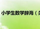 小学生数学辞海（关于小学生数学辞海介绍）