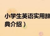 小学生英语实用辞典（关于小学生英语实用辞典介绍）
