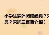 小学生课外阅读经典？宋词三百首（关于小学生课外阅读经典？宋词三百首介绍）