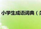 小学生成语词典（关于小学生成语词典介绍）