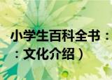 小学生百科全书：文化（关于小学生百科全书：文化介绍）
