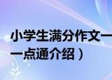 小学生满分作文一点通（关于小学生满分作文一点通介绍）