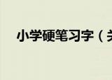 小学硬笔习字（关于小学硬笔习字介绍）