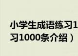 小学生成语练习1000条（关于小学生成语练习1000条介绍）