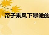 帝子乘风下翠微的意思（帝子乘风下翠微）