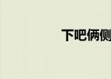 下吧俩侧长痘痘（下吧）