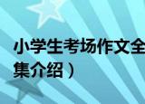 小学生考场作文全集（关于小学生考场作文全集介绍）
