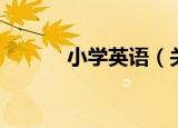 小学英语（关于小学英语介绍）