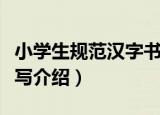 小学生规范汉字书写（关于小学生规范汉字书写介绍）