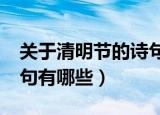 关于清明节的诗句有哪些?（关于清明节的诗句有哪些）