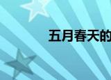 五月春天的景象（五月春天）