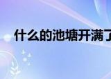 什么的池塘开满了什么的荷花二年级填空