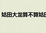 姑田大龙算不算姑田的文化历史（姑田大龙）