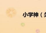 小学神（关于小学神介绍）