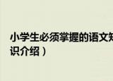 小学生必须掌握的语文知识（关于小学生必须掌握的语文知识介绍）