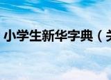 小学生新华字典（关于小学生新华字典介绍）